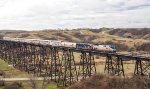 AMTK 151 leads the westbound Empire Builder across Gassman Coulee Trestle